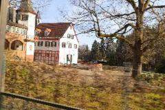 IMG-20250309-WA0004