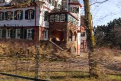 IMG-20250309-WA0007
