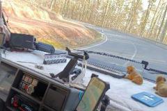 IMG-20250309-WA0008