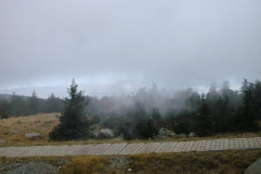 DIGITAL CAMERA