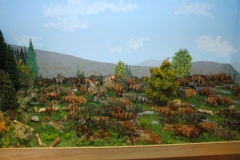 DIGITAL CAMERA