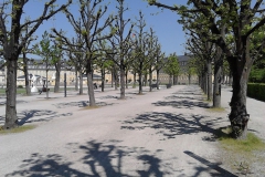 red_IMG_20160507_122402
